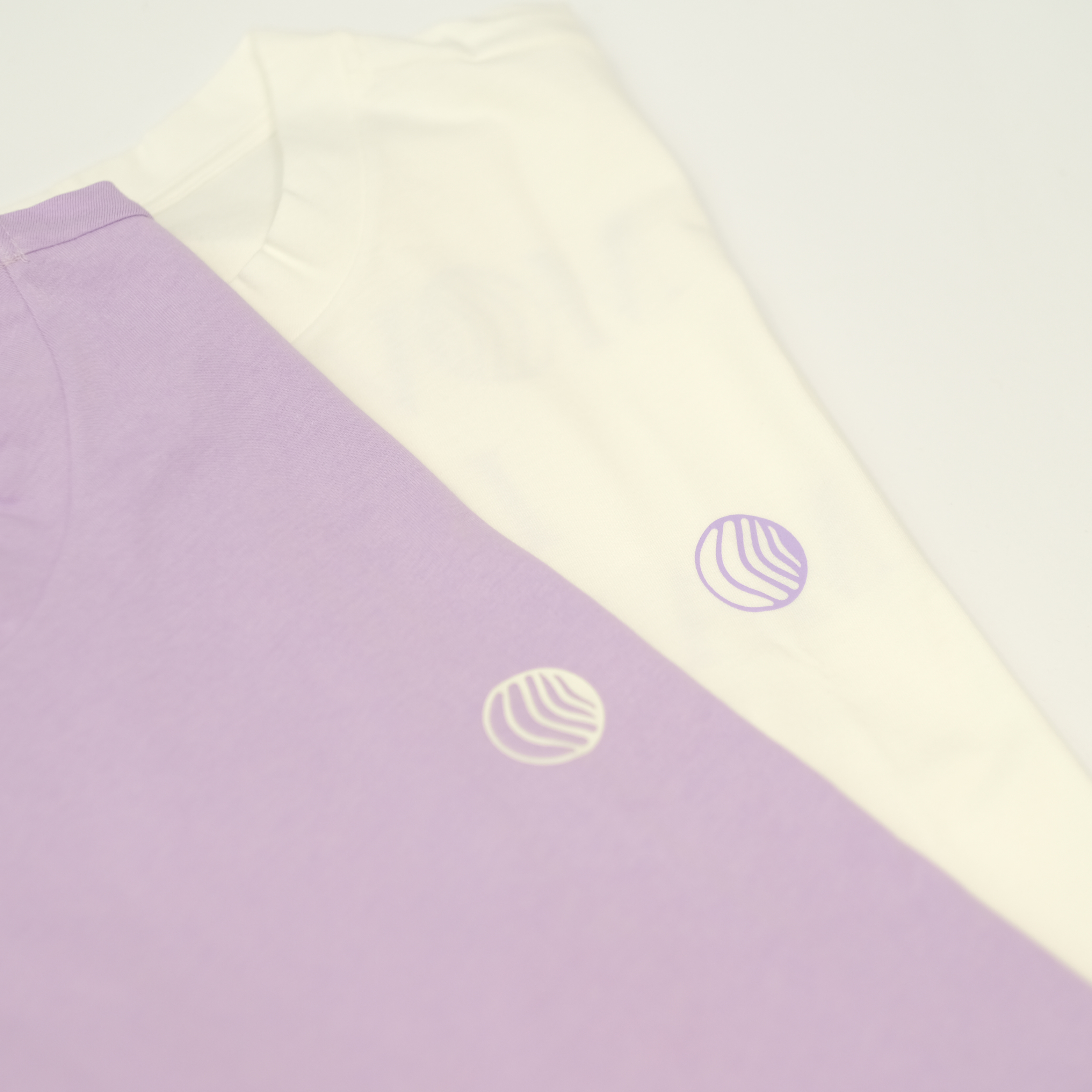 Camiseta Academia Celip